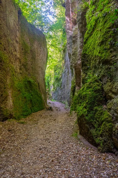 Vie Cave Narrow Ancient Path Touff Rocks Excavated Etruscan Civilization — Stock Photo, Image