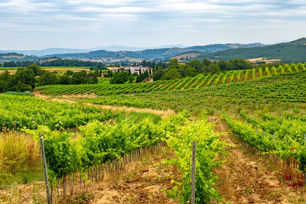 Paesaggio Della Campagna Italiana Toscana — Foto Stock