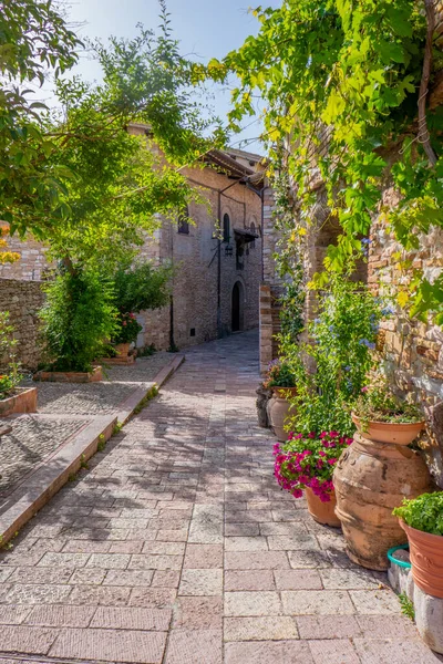 Assisi Kisvárosának Utcája Umbria Olaszország Egy Nyári Napsütéses Napon — Stock Fotó