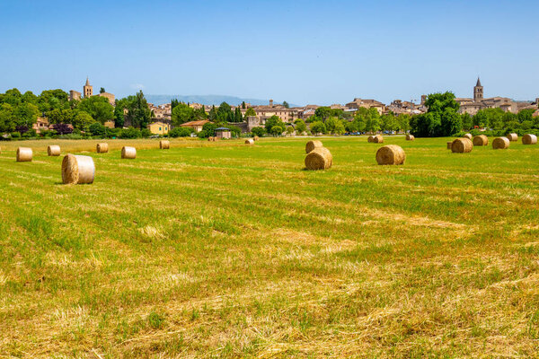 La campagna intorno al piccolo borgo antico di Bevagna in provincia di Perugia, Umbria, Italia con campi coltivati e bfcd di fieno
