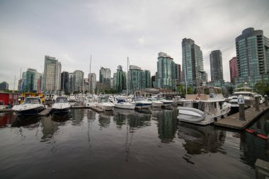 Vancouver sahili manzaralı marina, British Columbia, Kanada