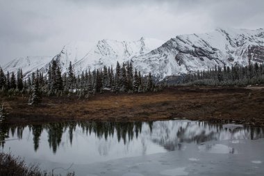 Kanada 'nın Alberta, Kanada' nın Rocky Dağları bölgesindeki küçük bir göle yansıyan ağaçların ve dağların manzarası