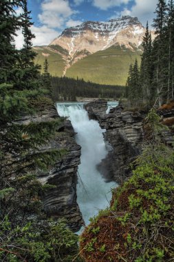 Athabasca, Icefield Parkway, Alberta, Kanada boyunca düşer.