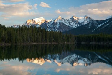 Herbert Gölü 'nün bu manzarasında Icefield Parkway, Banff Ulusal Parkı, Alberta, Kanada