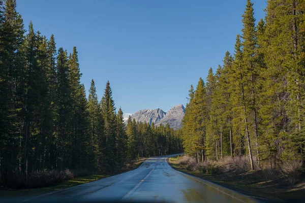 Eine Sehr Gerade Nasse Straße Einen Kanadischen Kiefernwald Der Region — Stockfoto