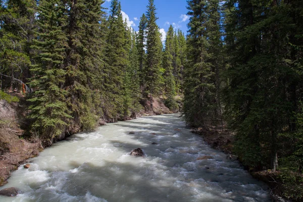 Scenic Táj Kanadai Folyó Banff Nemzeti Park Alberta Kanada Kövek — Stock Fotó