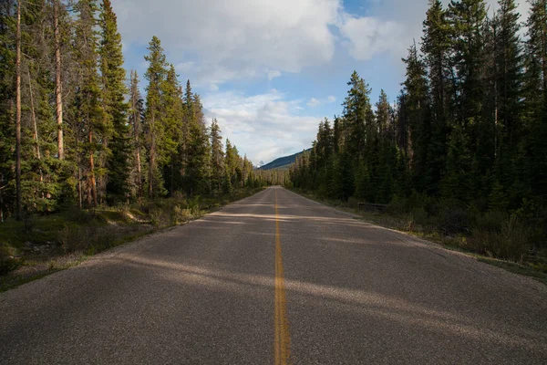 Uma Estrada Muito Reta Para Pinheiro Canadense Região Das Montanhas — Fotografia de Stock