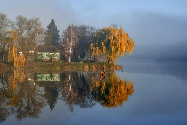 Mañana Brumosa Árboles Lago — Foto de Stock