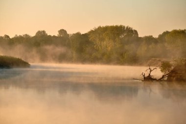Sabah nehri üzerinde güneşli bir sis var.