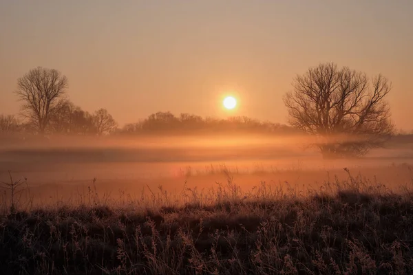 Nascer Sol Nebuloso Sobre Campo — Fotografia de Stock