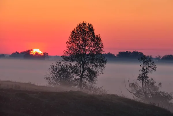 Tarlanın üzerinde puslu gün doğumu