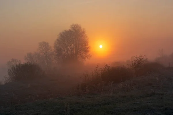 Foggy Sunrise Field — Stock Photo, Image