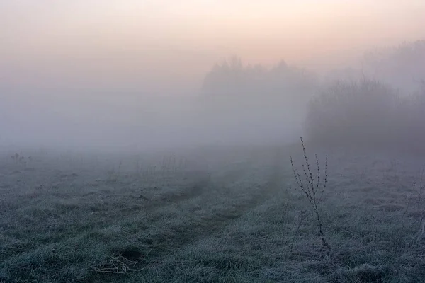 Wiosenna Mgła Nad Polem — Zdjęcie stockowe