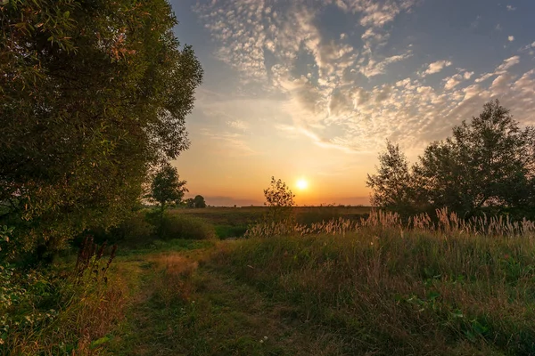 Nascer Sol Calmo Sobre Campo — Fotografia de Stock