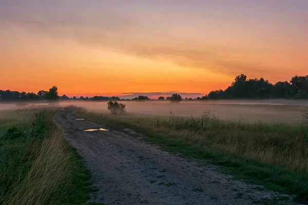 Туманное Утро Поле — стоковое фото