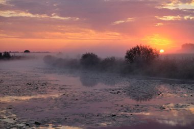 Gölün üzerinde puslu şafak.