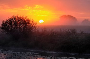 Gölün üzerinde puslu şafak.
