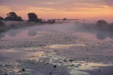 Gölün üzerinde puslu şafak.