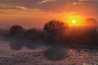 Gölün üzerinde puslu şafak.
