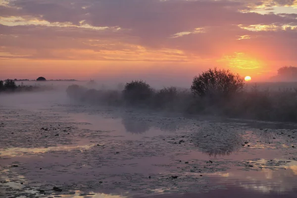 Gölün üzerinde puslu şafak.