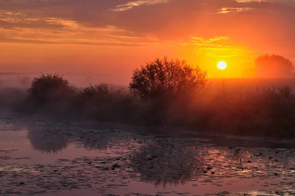 Gölün üzerinde puslu şafak.