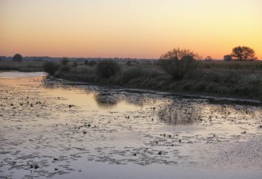 Göl üzerinde sonbahar şafak.
