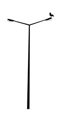 Ampul direğindeki martı beyaz arkaplanda izole edilmiş. 