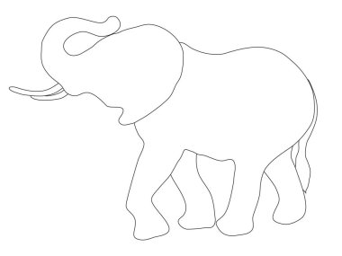 Yetişkin fillerin siyah beyaz çizgileri