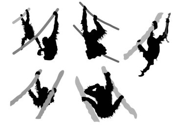 Beyaz arkaplanda izole edilmiş Orangutan siluetleri serisi 