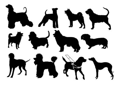 Çeşitli köpek türleri - beyaz arkaplanda izole edilmiş siluetler 