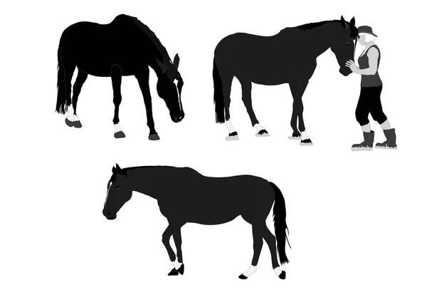 Paarden Witte Achtergrond Gewoon Vectorillustratie — Stockvector