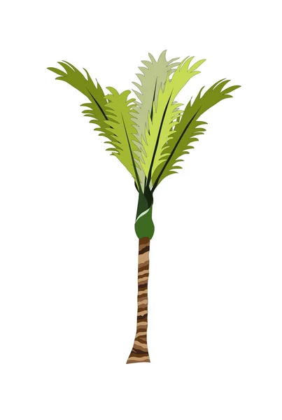 Векторное Пальмовое Дерево Белом Фоне — стоковый вектор