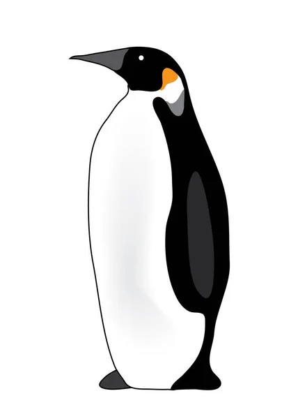 Pingüino Emperador Aislado Sobre Fondo Blanco — Vector de stock