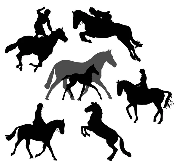 Silhouettes Chevaux Isolées Sur Fond Blanc — Image vectorielle