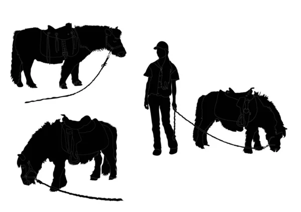 Gedetailleerde Zwart Wit Afbeelding Van Miniatuur Pony — Stockvector