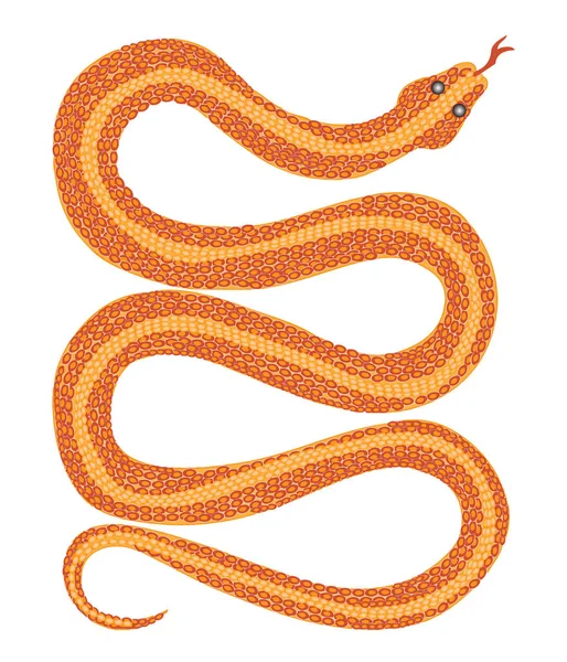 Serpiente Roja Naranja Detallada Con Lengua Bifurcada — Vector de stock