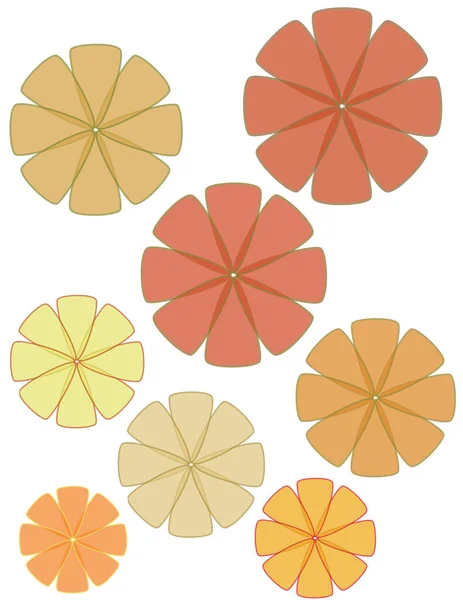 Yellow Orange Vector Flowers Isolated White Background — Stock Vector