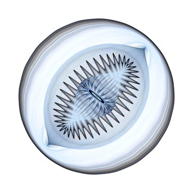 Yuvarlak plastik bir topun 3D görüntüsü