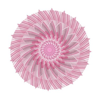 Beyaz arkaplanda izole edilmiş pembe çiçek