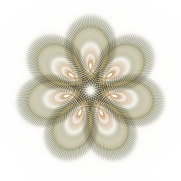 Αφηρημένη Σχεδίαση Λουλούδι Έννοια Φράκταλ Λευκό Φόντο — Φωτογραφία Αρχείου