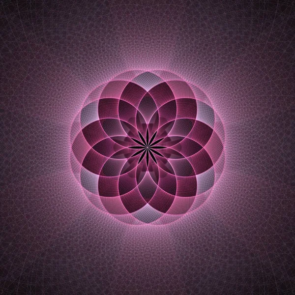 Рожево Фіолетовий Розквіт Обертається Абстрактна Квітка Дизайн Хвиль Ілюстрація Чорний — стокове фото