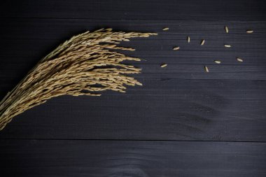 Yaprak sarı pirinç ve beyaz pirinç ve organik yasemin pilavı ahşap masa, organik yiyecekler ve sağlıklı konsept.