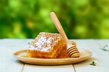 Beyaz ahşap arka plan, organik gıdalar ve sağlıklı konsept üzerine tatlı bal peteği ve dipper.