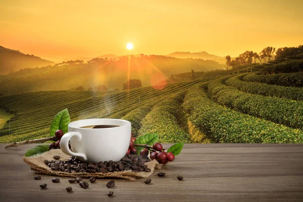 Warme Koffiekop Met Verse Biologische Rode Koffiebonen Koffiebranderijen Houten Tafel — Stockfoto