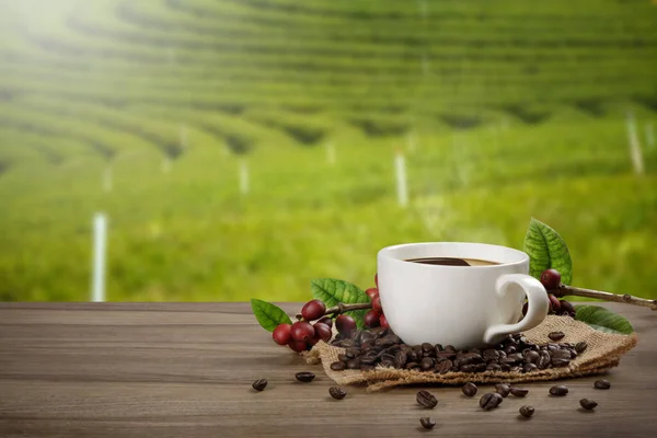 Warme Koffiekop Met Verse Biologische Rode Koffiebonen Koffiebranderijen Houten Tafel — Stockfoto