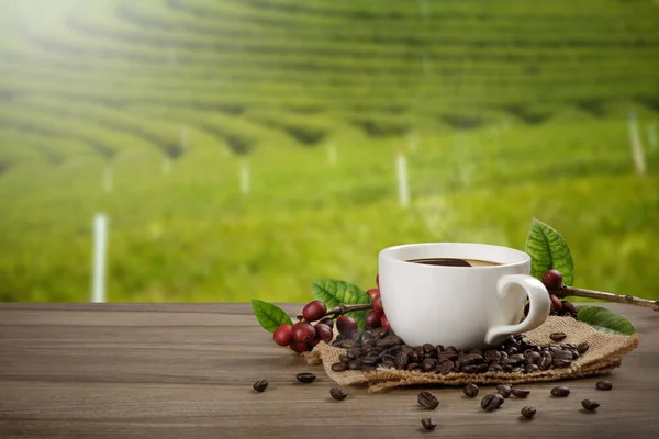 Sıcak kahve fincanı, taze organik kahve çekirdekleri ve ahşap masa üzerinde kahve kızartmaları ve metin için fotokopi alanı olan tarla arkaplanı..