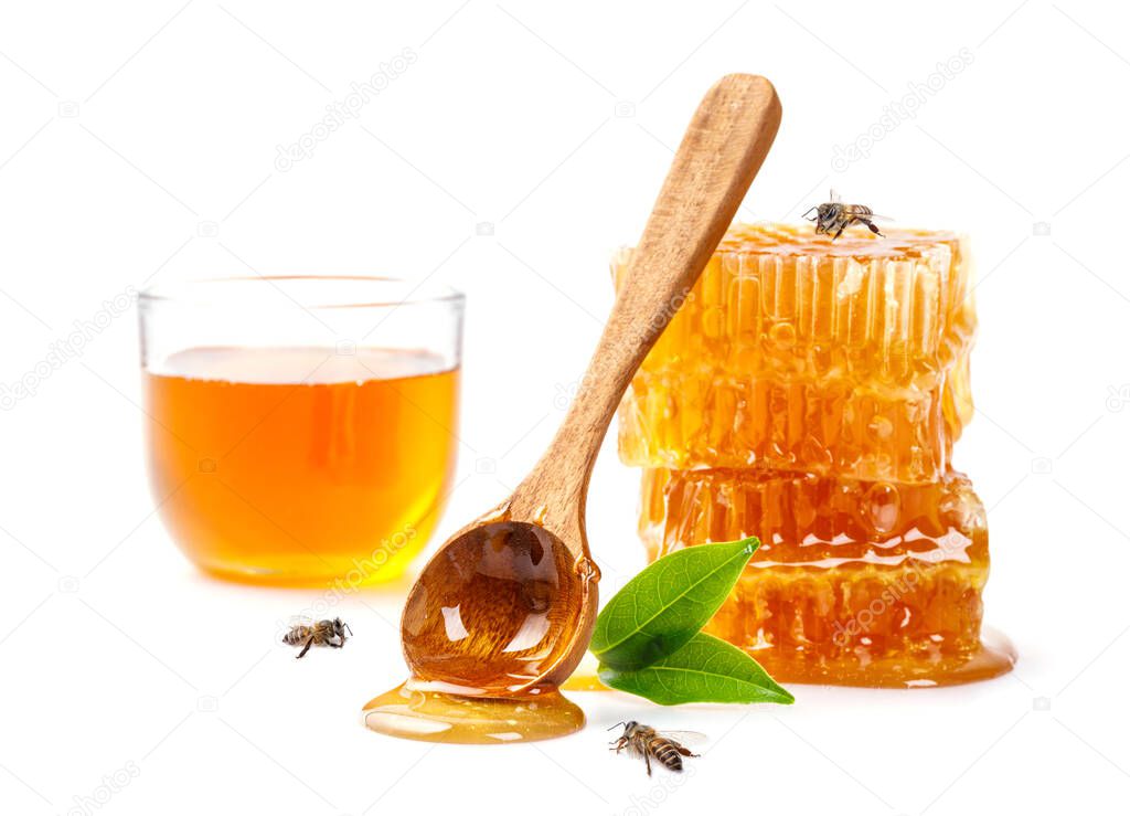 Honeycomb with bee and honey spoon isolate on white banner background, bee products by organic natural ingredients concept