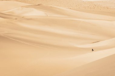 Eureka kumullarında yürüyen bir adam doğada bir insanın kumlar okyanusunda ne kadar küçük olabileceğini gösterir.