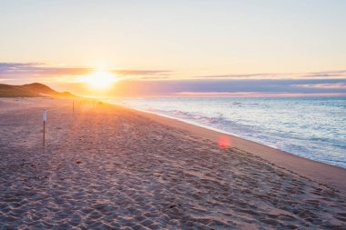 Seyirciye bakan sevimli bir boru kürekçisi. ön çekim.