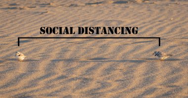 Seyirciye bakan sevimli bir boru kürekçisi. ön çekim.